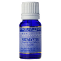 Springfields Eucalyptus Organic Essential Oil